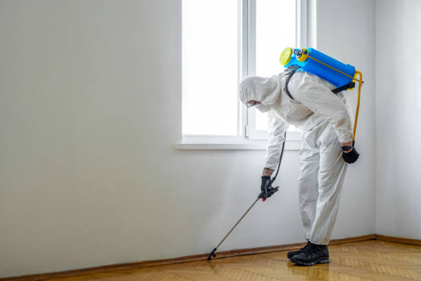 Professional Pest control in Croom, MD